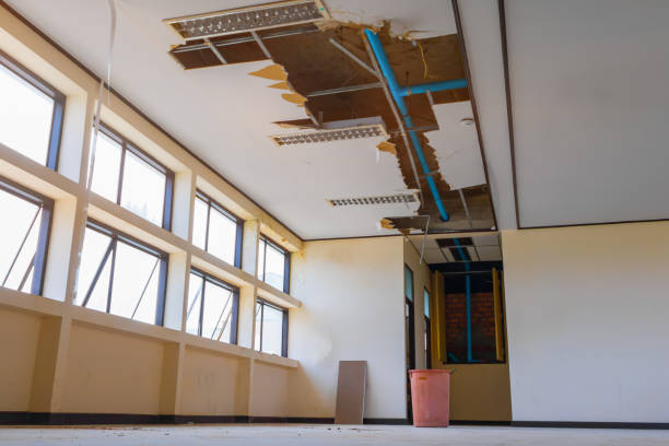 Best Commercial water damage restoration  in Lewiston, MN