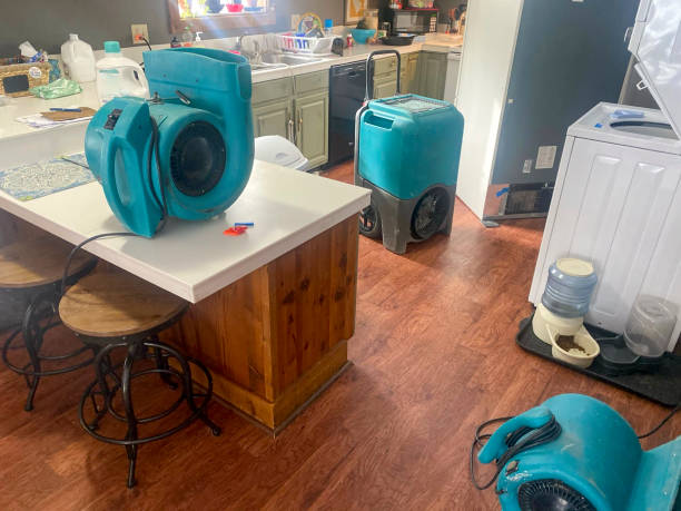 Best Professional water damage repair  in Lewiston, MN