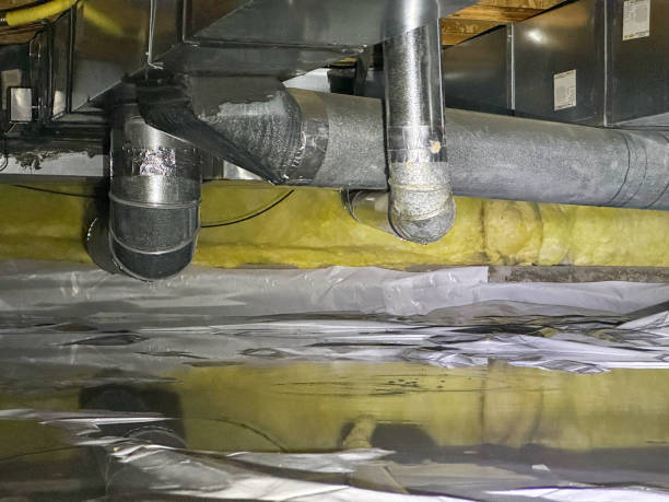 Best Sewage cleanup and water damage restoration  in Lewiston, MN