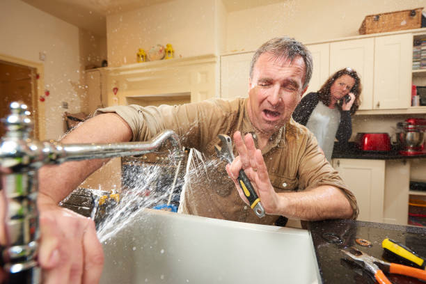 Best Local water damage restoration  in Lewiston, MN